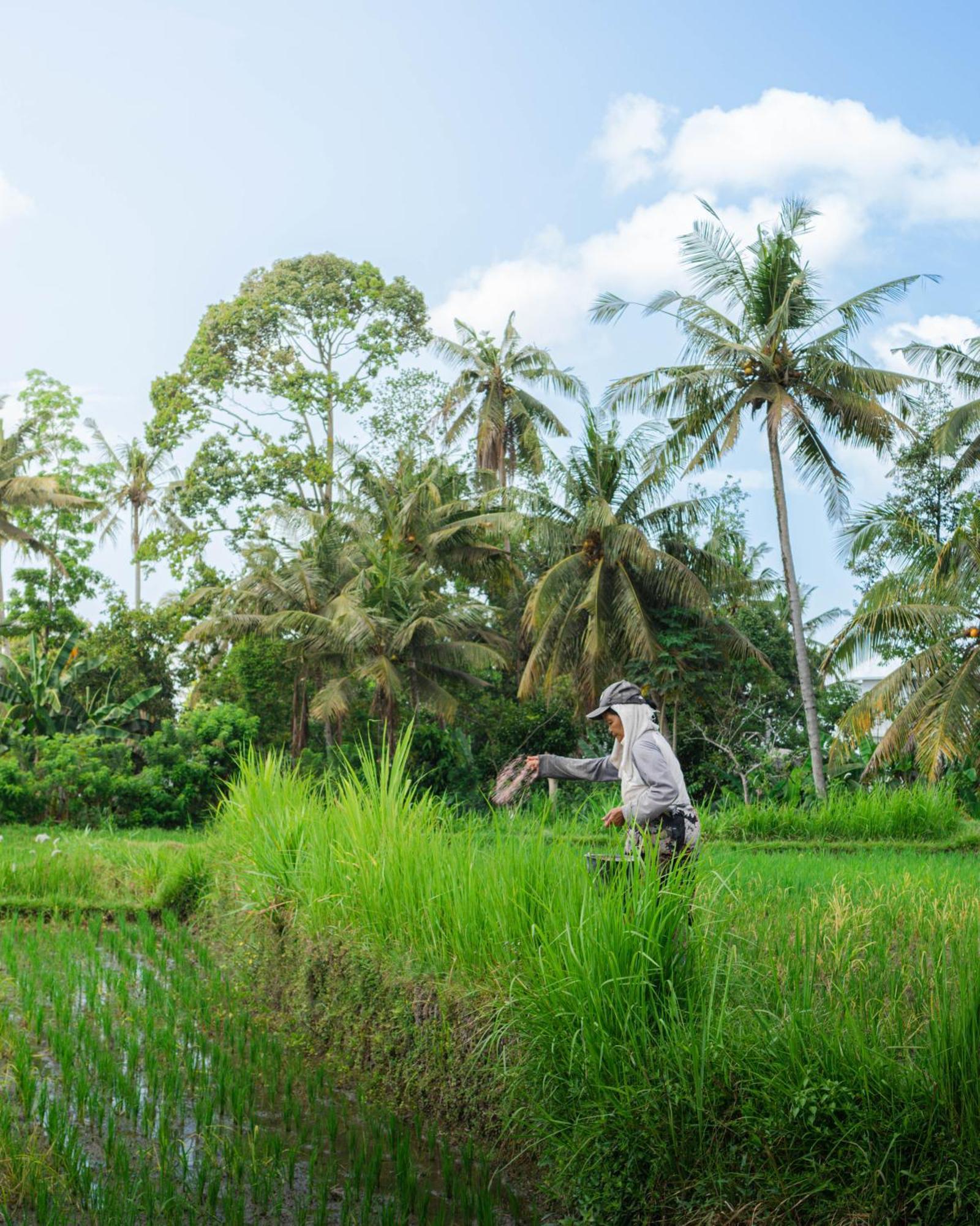 Tannari Villa Ubud מראה חיצוני תמונה